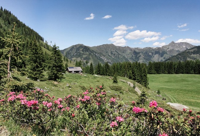 Wunderschöne Landschaft im Sommer © www.grossarltal.info