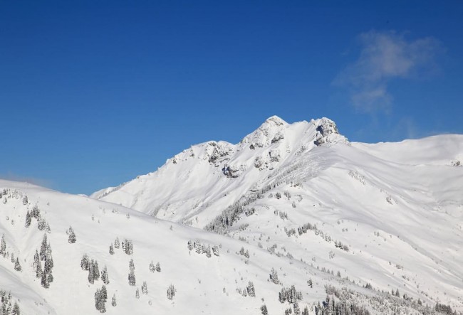 Professionelles Skiguiding in Großarl © TVB Großarltal